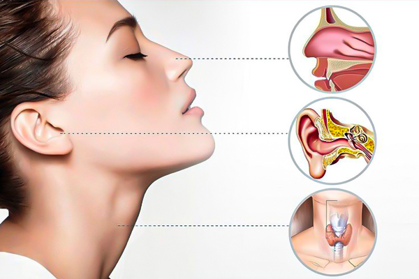ENT (Ear, Nose, Throat) department