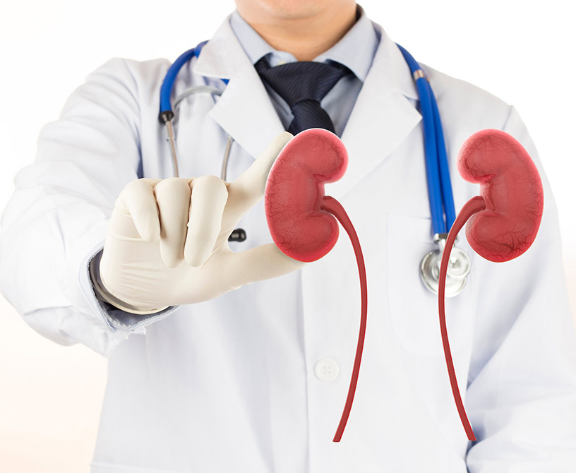 Nephrology Symptoms & Diagnosis